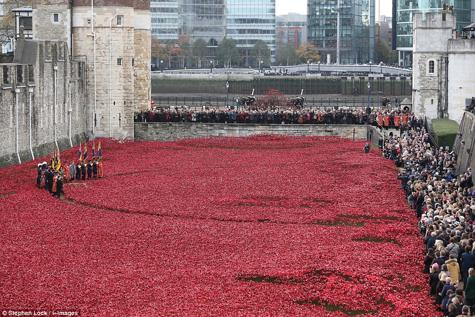 final poppy6.jpg