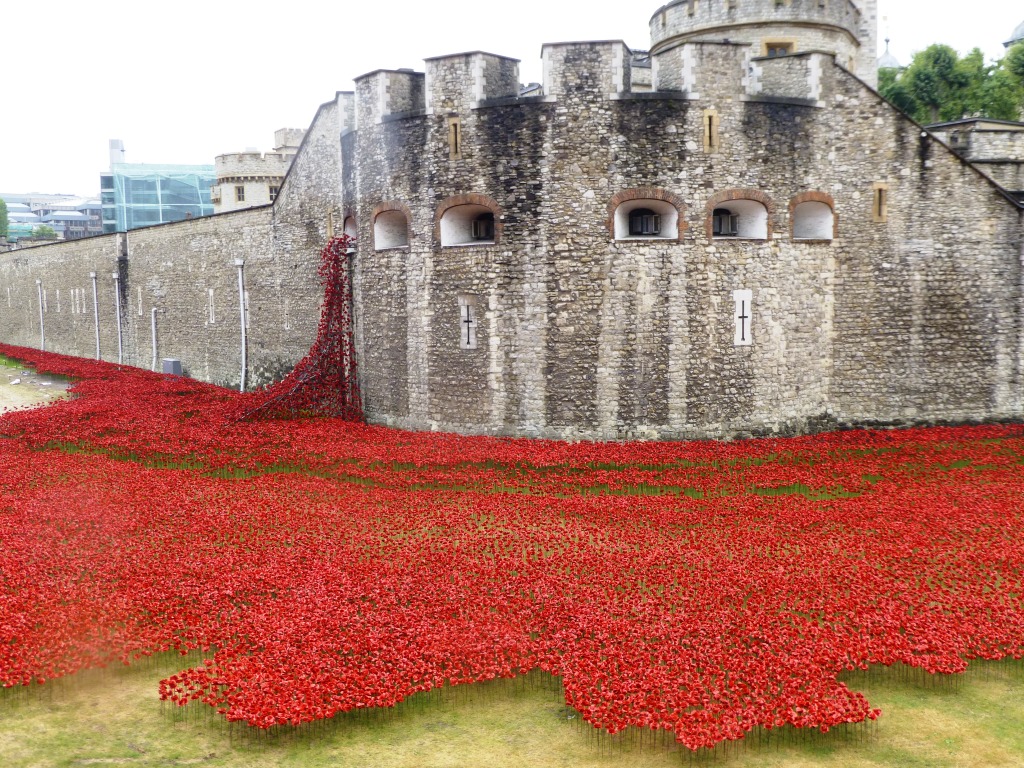 poppies%20at%20the%20tower%201.jpg