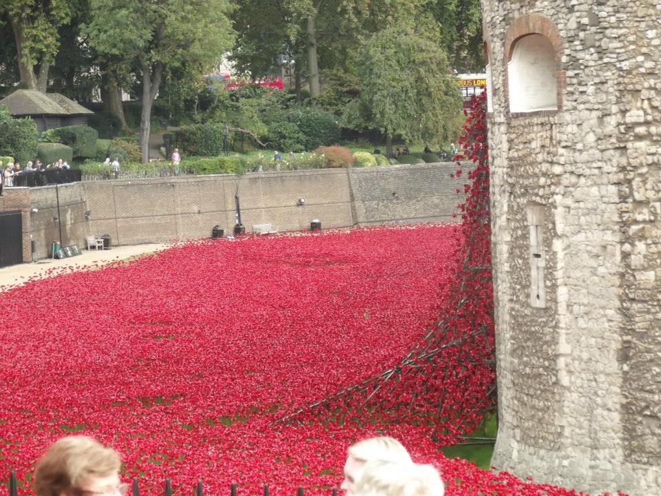 poppy0ct3.jpg