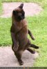 left leg, what like this.jpg
