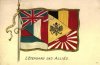 L`ETENDARD DES ALLIES.jpg