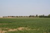 IMG_0806.JPG